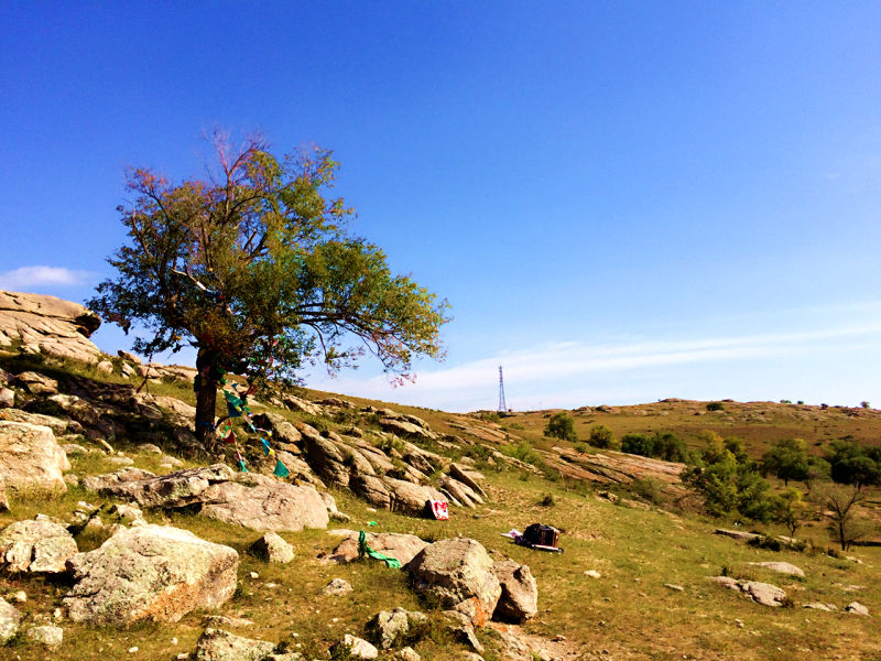 三 李梦桐 树·未央.jpg