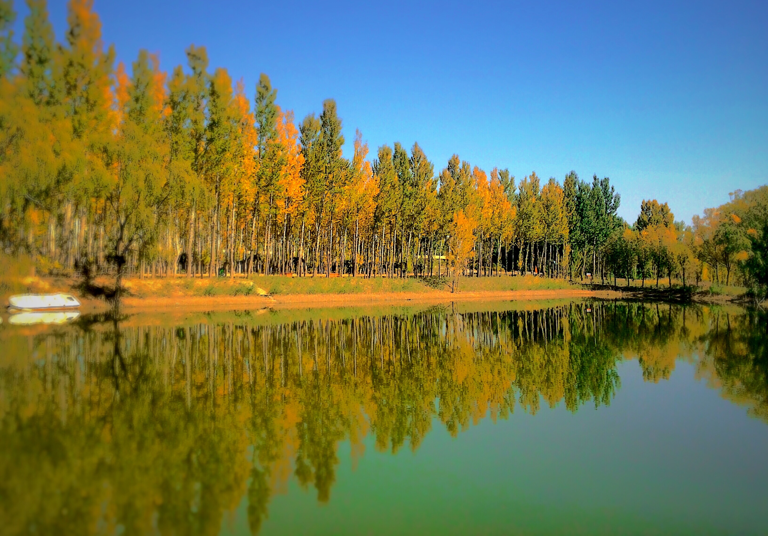 三 设计系 杨洋 镜头下的秋.jpg