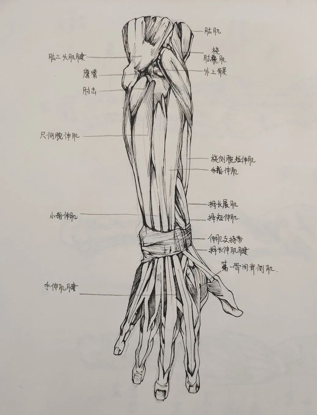 微信图片_20220408124145.jpg