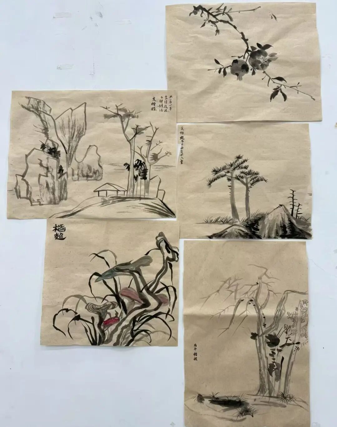 图片